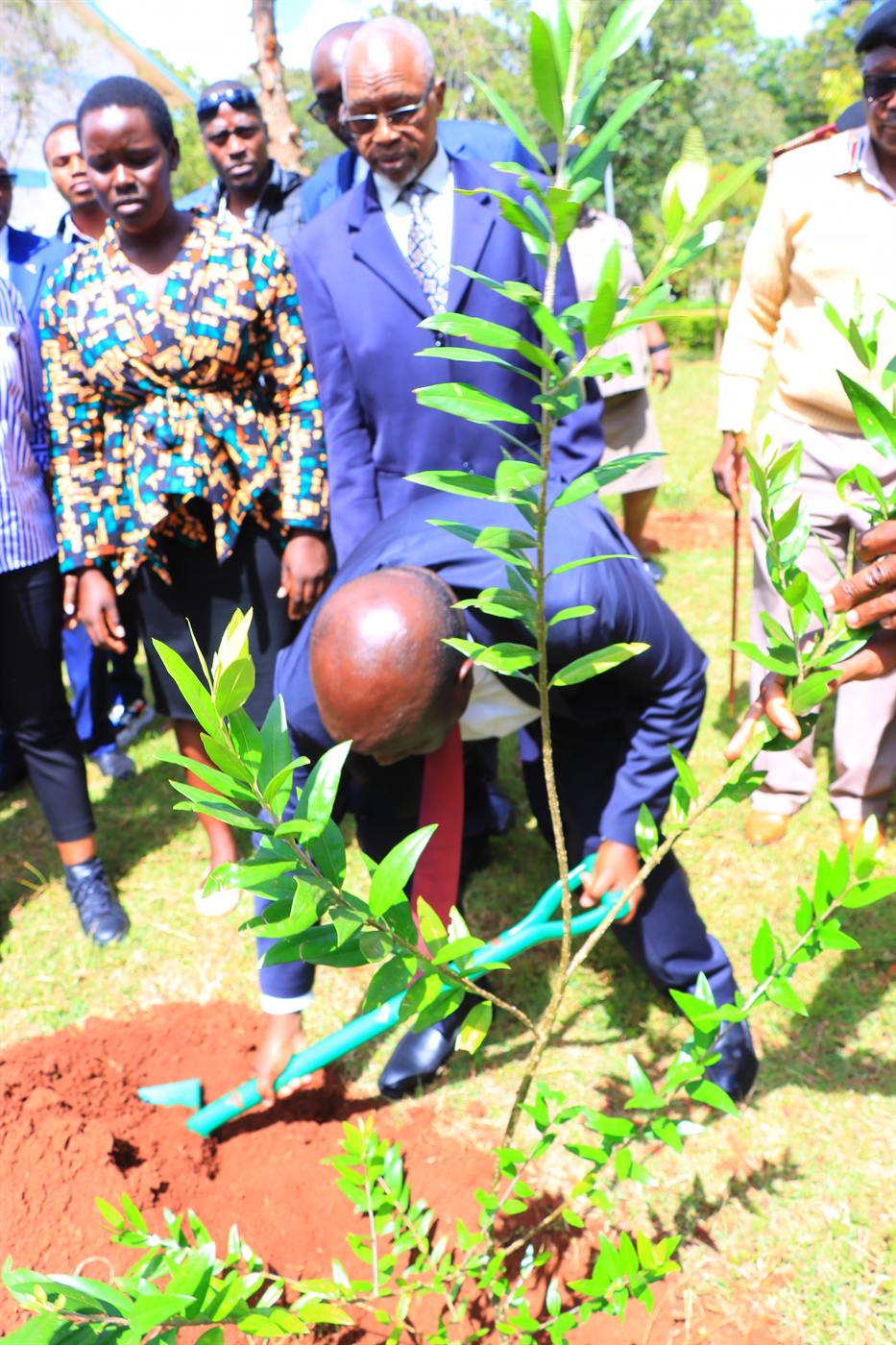 A guest planting a tree while others look on